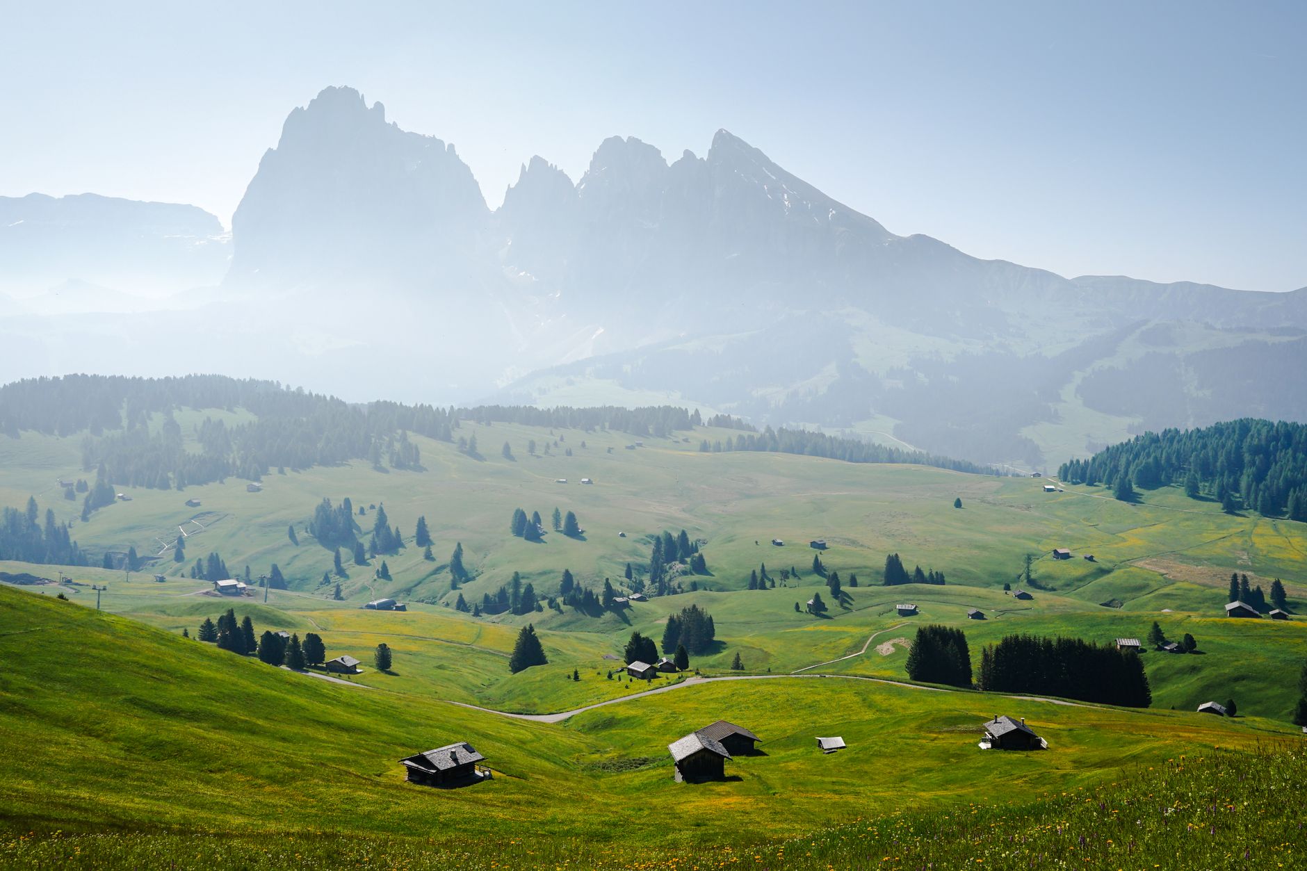 Alpine meadow in the Dolomites surrounded by limestone cliffs