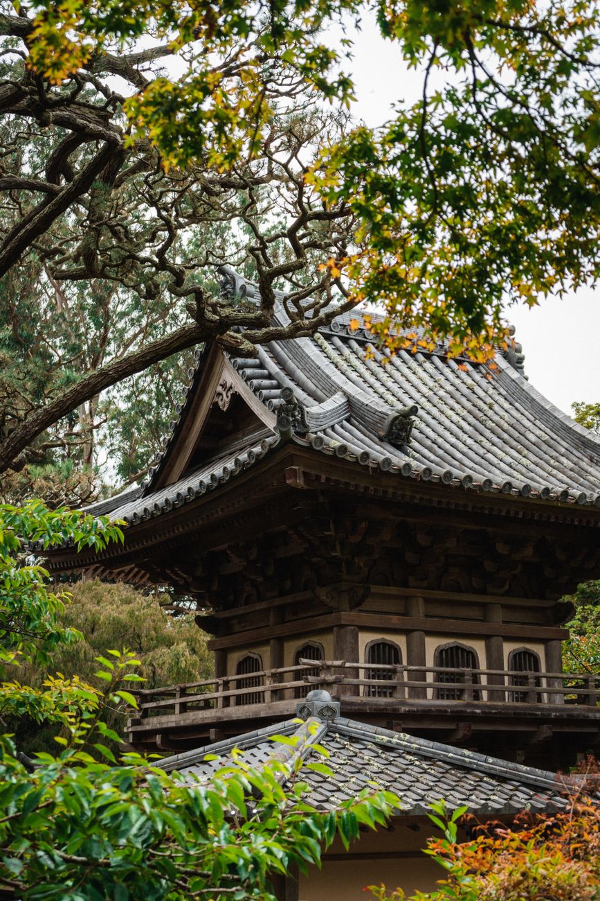 Historic Japanese Zen garden and wooden pavillion